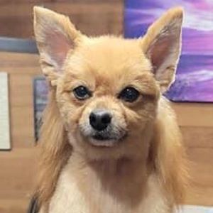 Meet your Posher, Cliff